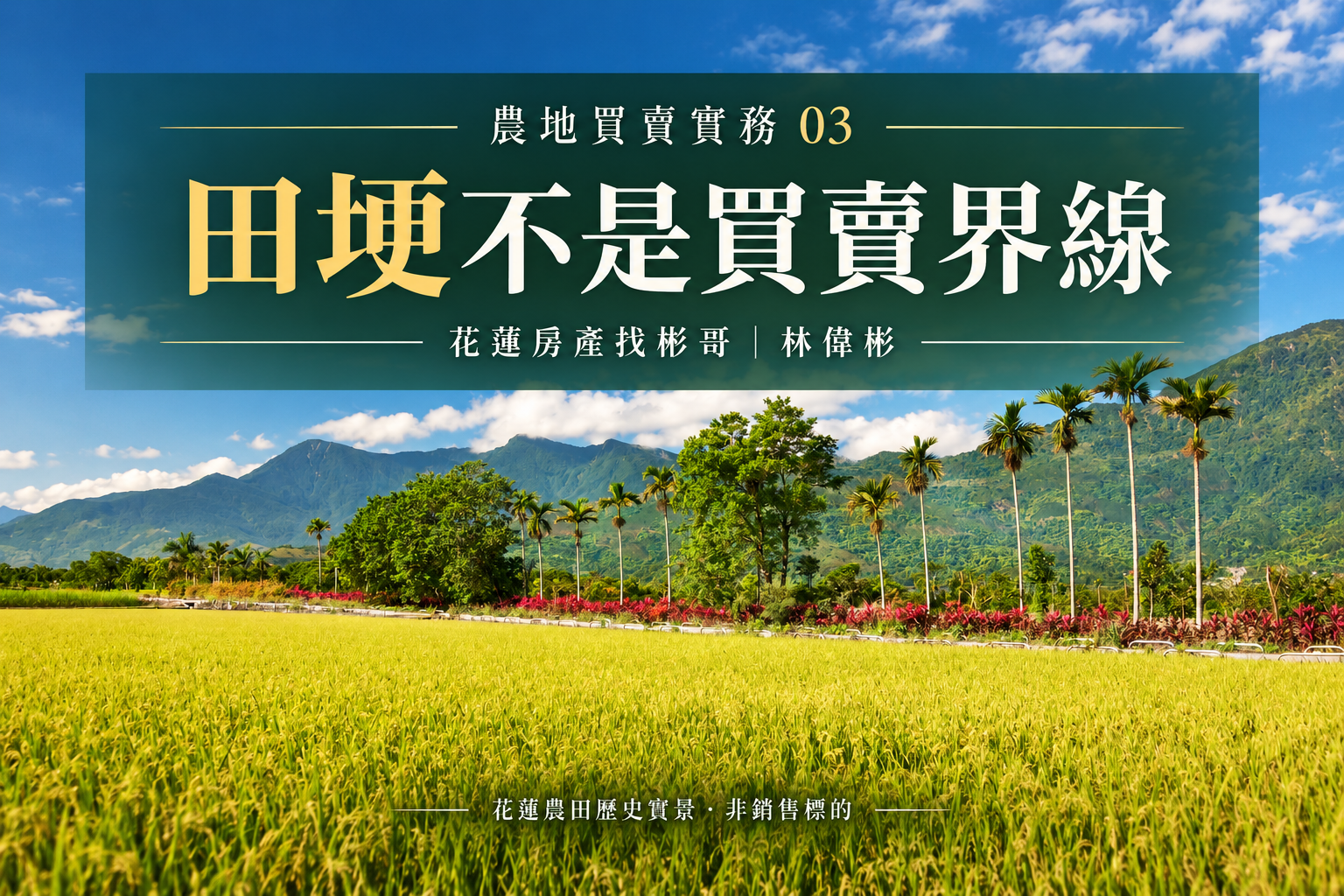 花蓮農地買賣實務③:田埂不是買賣界線,鑑界、占用與持分範圍怎麼對