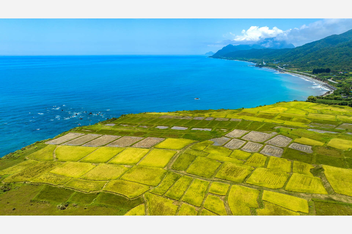住在豐濱新社:海梯田、香蕉絲與台11線上的長住安排