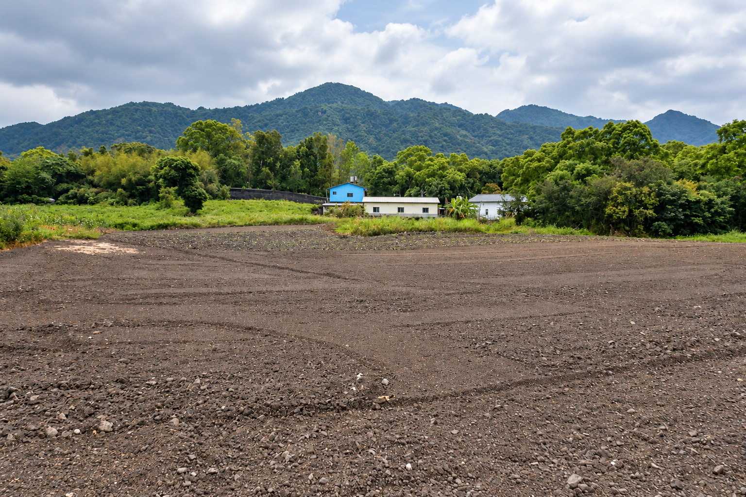 富里鄉居住問題與缺點:田園長住要算進南北移動、照顧與全年收入