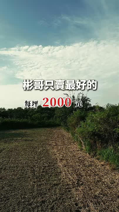 瑞穗266萬千坪農地｜1343坪免填土，近台九線