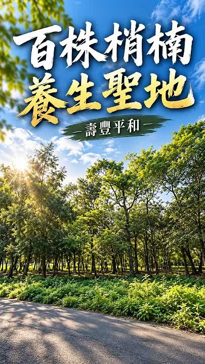 壽豐平和百株梢楠農地|900至1800坪,東華大學旁綠蔭