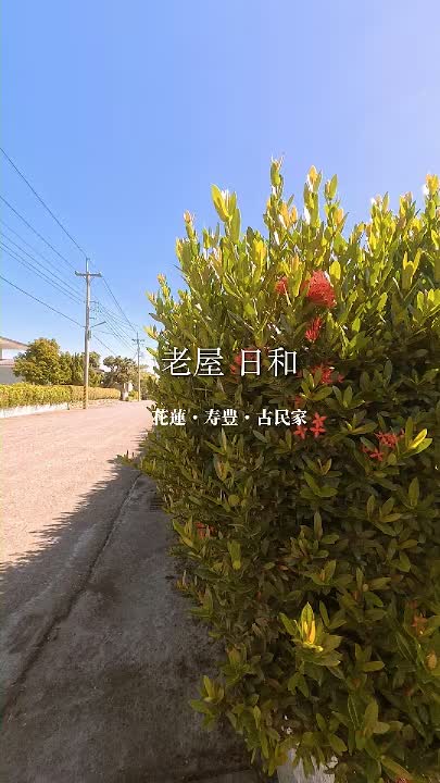 壽豐雲山水建地附老屋|前後臨路,留住台灣古厝的味道