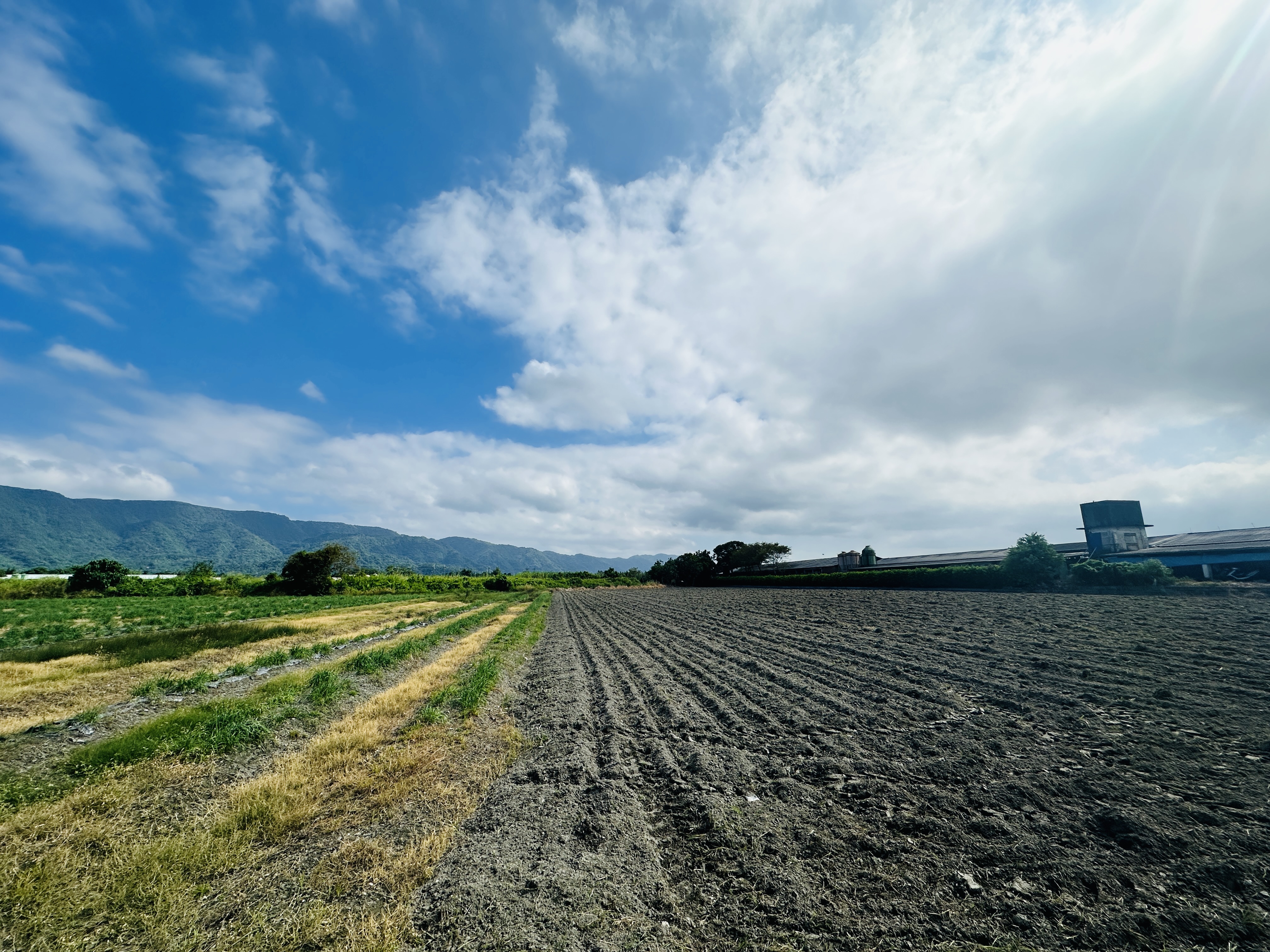 【西部大廠擴產首選】花蓮壽豐2甲半合法畜牧用地｜大車進出無虞・生物防疫天然屏障
