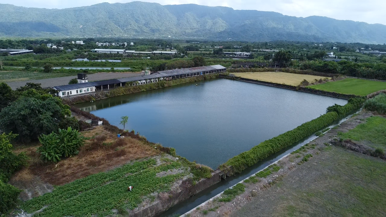 【絕版特許牌】花蓮壽豐農墾段兩甲半合法養豬場｜現成畜牧登記證+三相用電，接手立即投產！