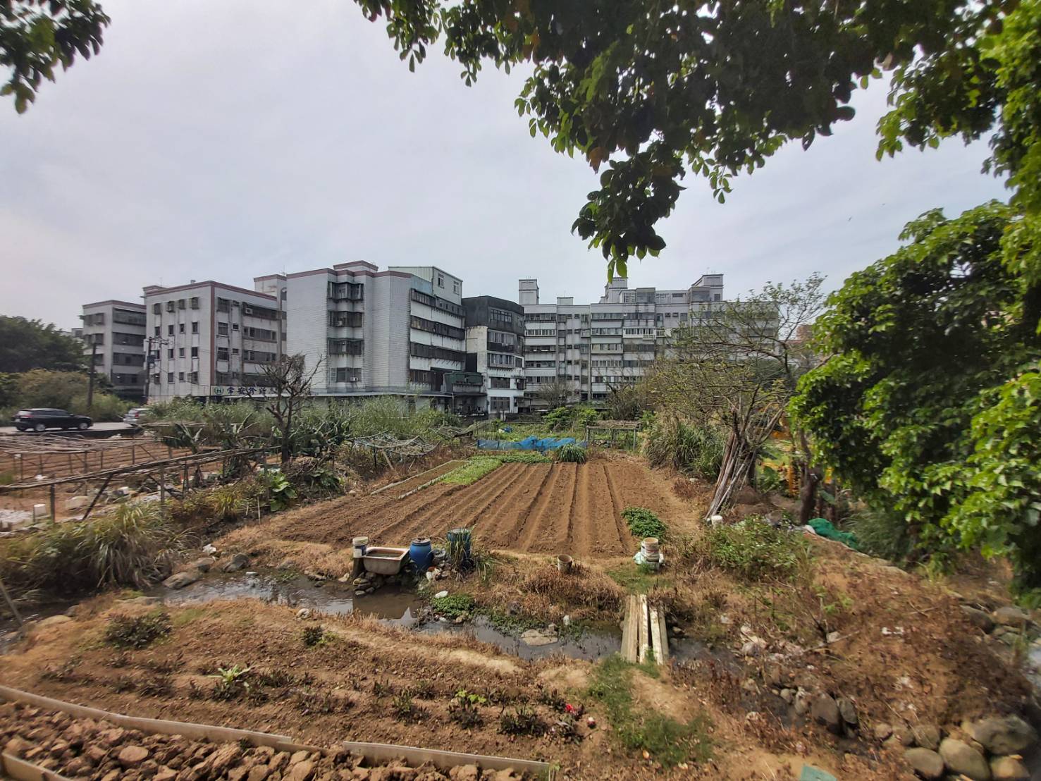2026新北三芝建地可以買嗎？分析優缺點、成交行情